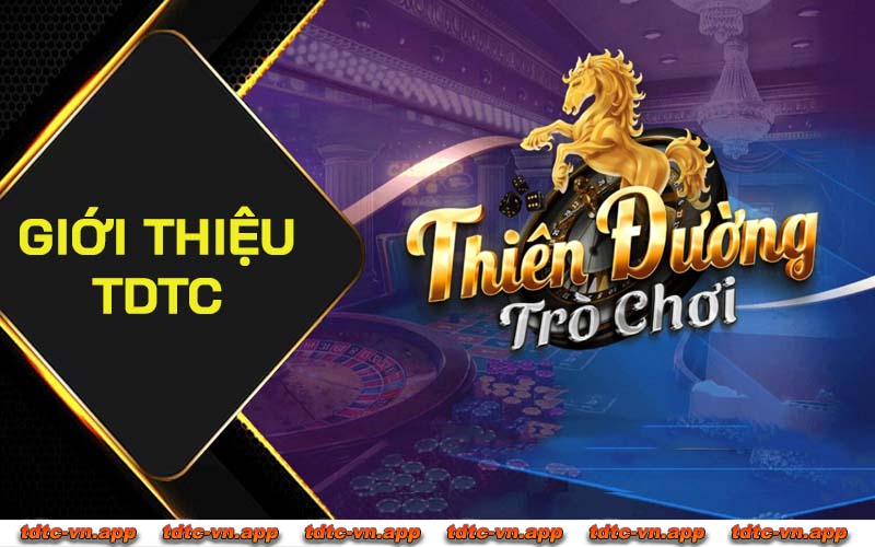 Giới thiệu TDTC - Dịch vụ và những thông tin bạn cần biết